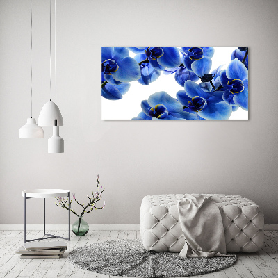 Acrylbild Fotodruck Blaue Orchidee