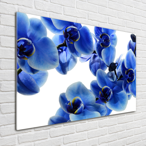 Acrylbild Fotodruck Blaue Orchidee