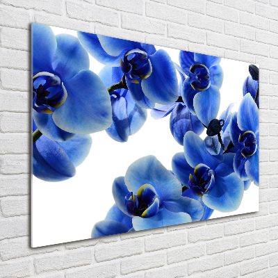 Acrylbild Fotodruck Blaue Orchidee