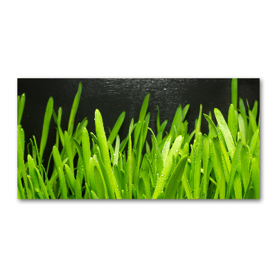 Acrylglas-Druck Gras