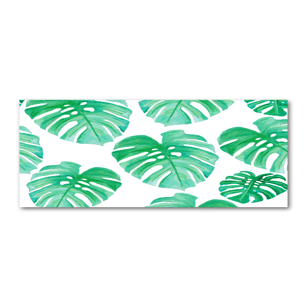 Foto auf Acryl Monstera