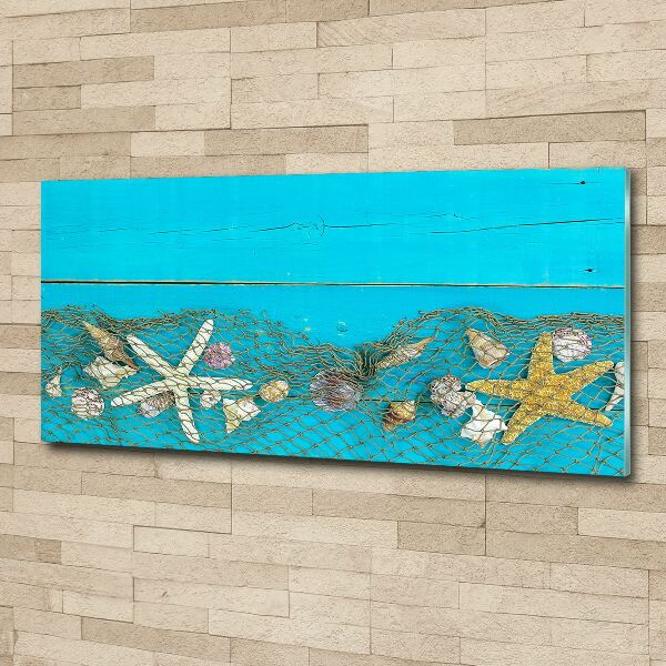 Foto auf Acryl Seesterne und Muscheln