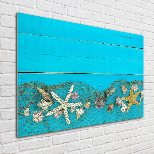 Foto auf Acryl Seesterne und Muscheln
