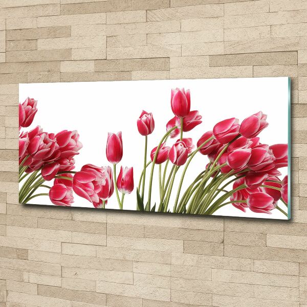 Acrylbild Fotodruck Rote Tulpen