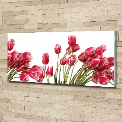 Acrylbild Fotodruck Rote Tulpen
