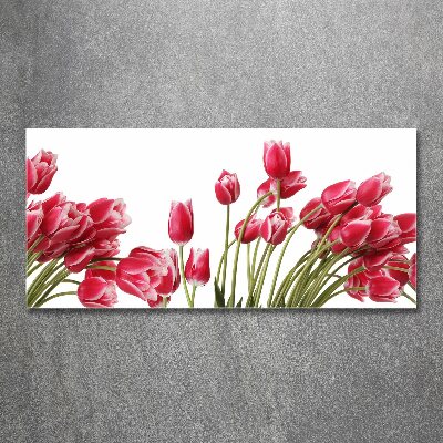 Acrylbild Fotodruck Rote Tulpen