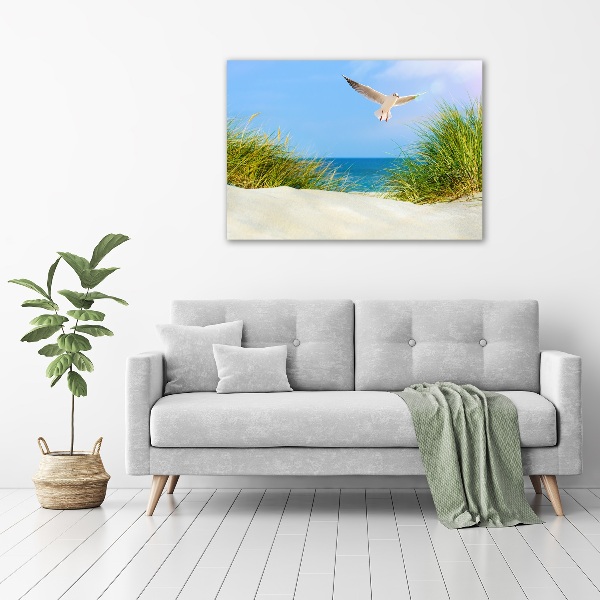 Foto auf Acryl Möwe am Strand