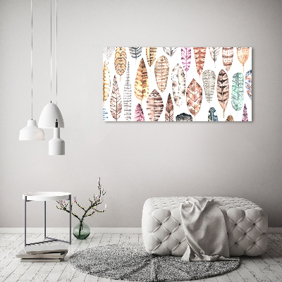 Acrylglas-Druck Bunte Federn