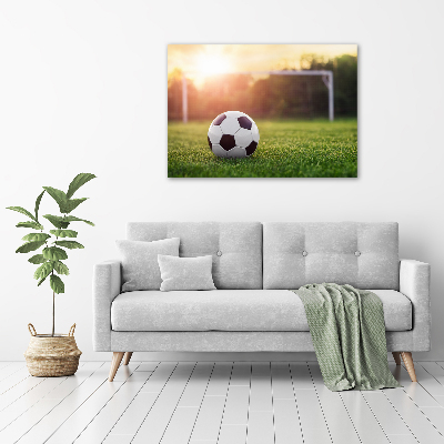 Acrylbild Fotodruck Fußball
