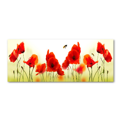 Acrylglas-Druck Mohnblumen