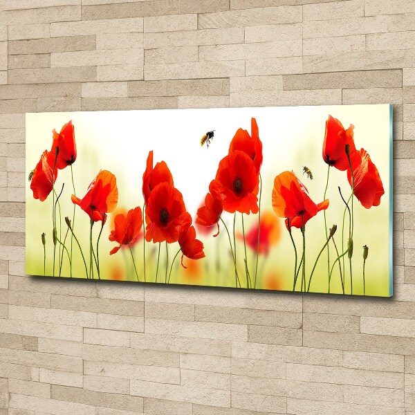 Acrylglas-Druck Mohnblumen