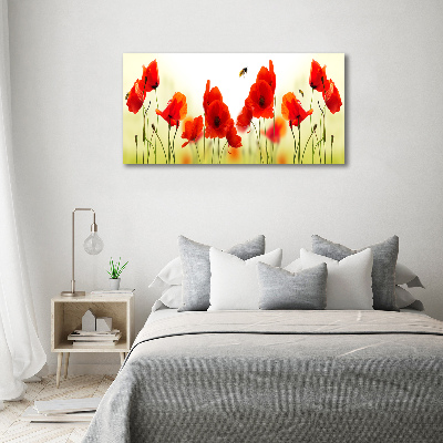 Acrylglas-Druck Mohnblumen