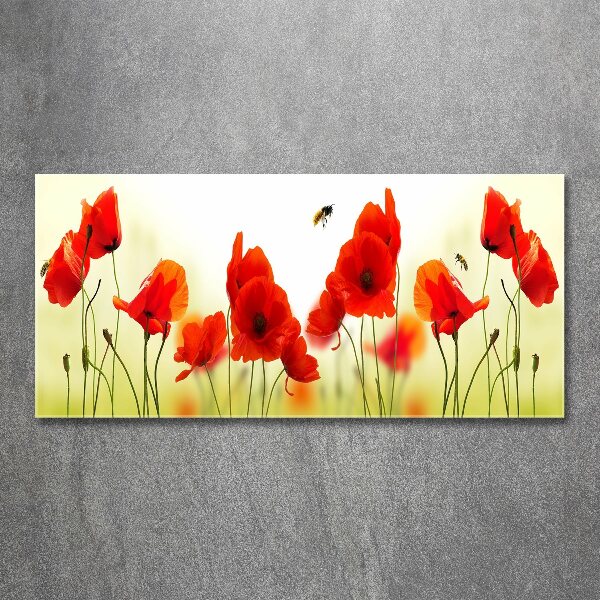 Acrylglas-Druck Mohnblumen