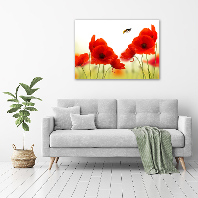 Acrylglas-Druck Mohnblumen