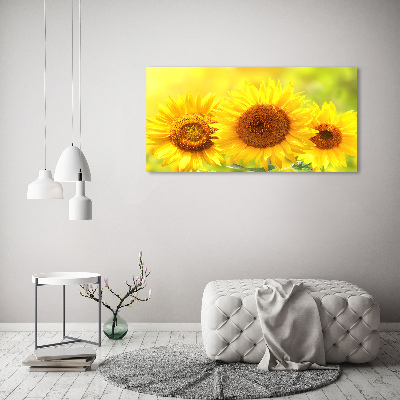 Foto auf Acryl Sonnenblumen