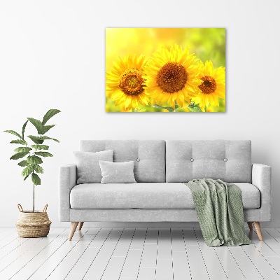 Foto auf Acryl Sonnenblumen
