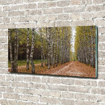 Acrylbild Fotodruck Birkenallee