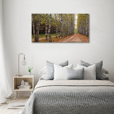 Acrylbild Fotodruck Birkenallee