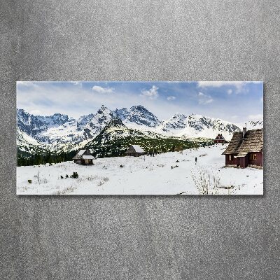 Foto auf Acryl Weiden im Tatra-Gebirge