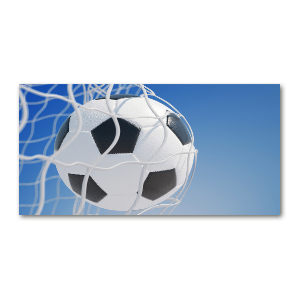 Foto auf Acryl Der Ball ist im Tor