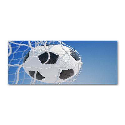 Foto auf Acryl Der Ball ist im Tor