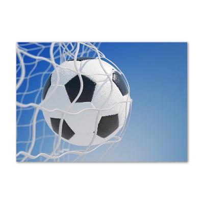 Foto auf Acryl Der Ball ist im Tor