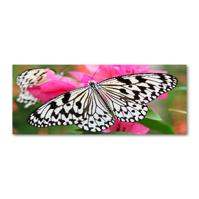 Acrylbild Fotodruck Schmetterling auf einer Blume