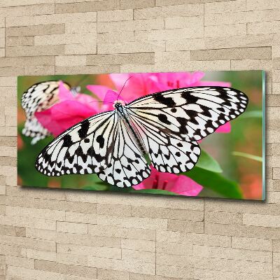 Acrylbild Fotodruck Schmetterling auf einer Blume