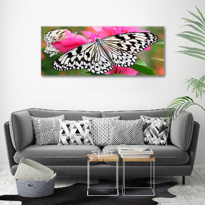 Acrylbild Fotodruck Schmetterling auf einer Blume