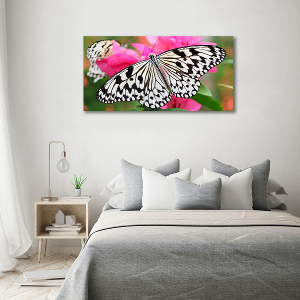 Acrylbild Fotodruck Schmetterling auf einer Blume