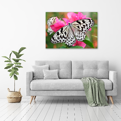 Acrylbild Fotodruck Schmetterling auf einer Blume