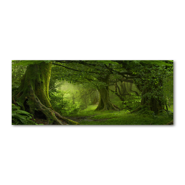 Acrylbild Fotodruck Tropischer Dschungel