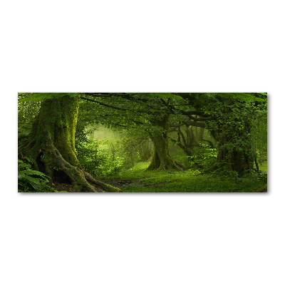 Acrylbild Fotodruck Tropischer Dschungel