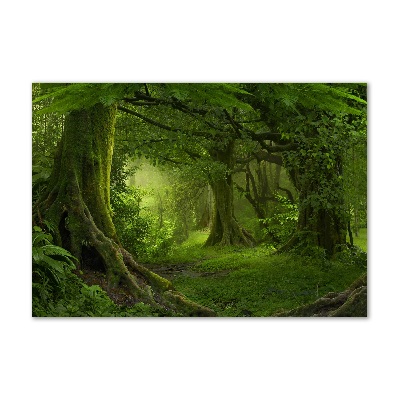 Acrylbild Fotodruck Tropischer Dschungel