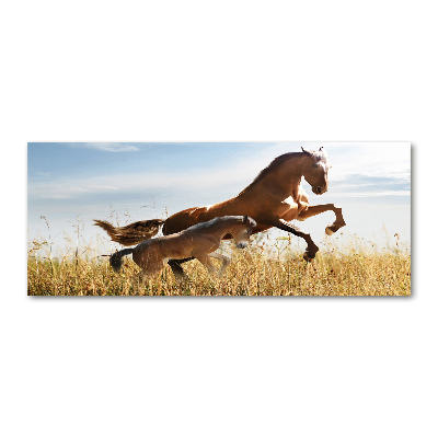 Foto auf Acryl Stute mit Fohlen