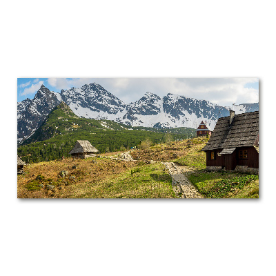 Foto auf Acryl Weiden im Tatra-Gebirge