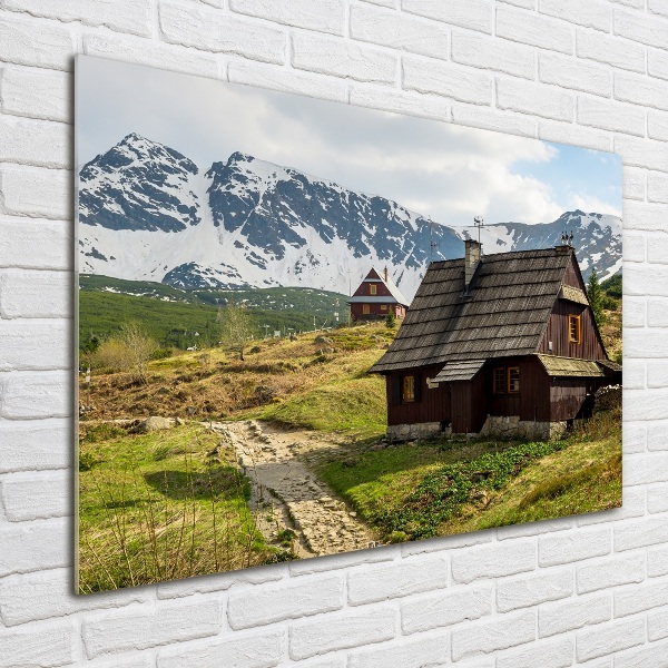 Foto auf Acryl Weiden im Tatra-Gebirge