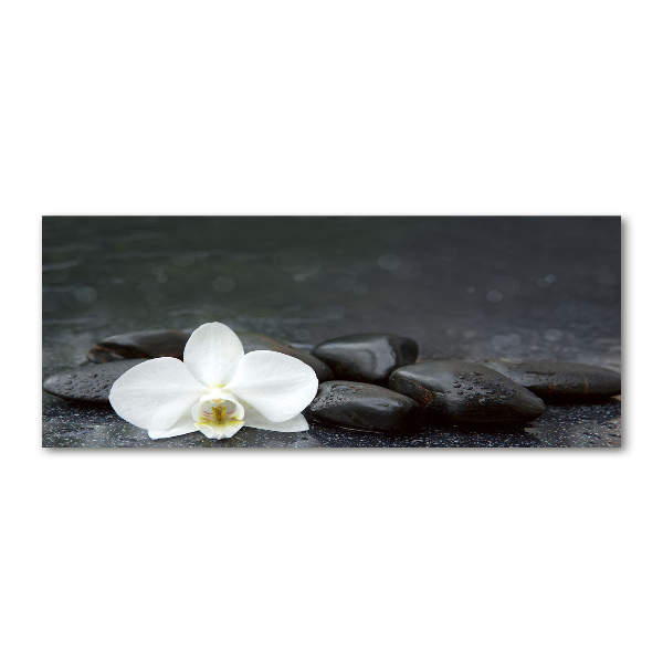 Foto auf Acryl Orchidee