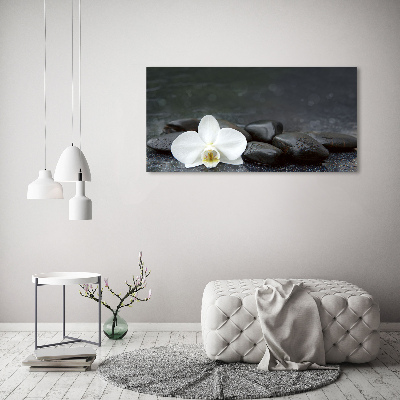 Foto auf Acryl Orchidee