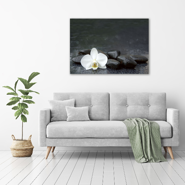 Foto auf Acryl Orchidee