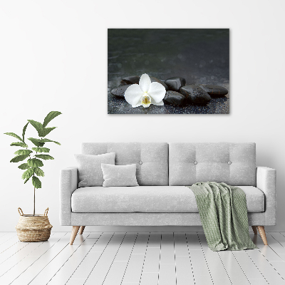 Foto auf Acryl Orchidee
