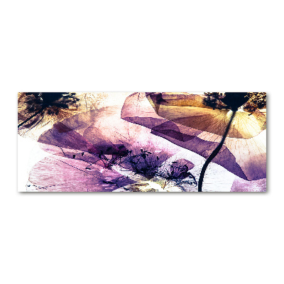 Bild auf Acrylglas Getrocknete Mohnblumen