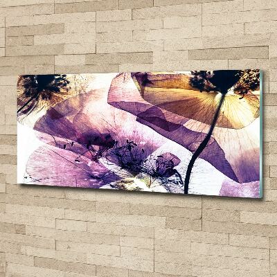 Bild auf Acrylglas Getrocknete Mohnblumen