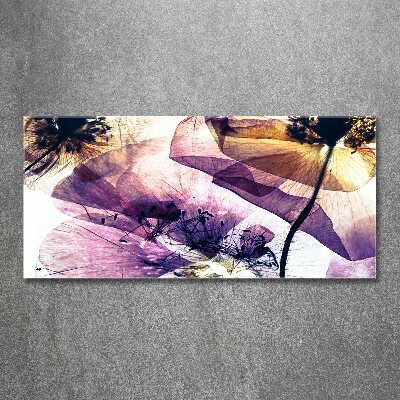 Bild auf Acrylglas Getrocknete Mohnblumen