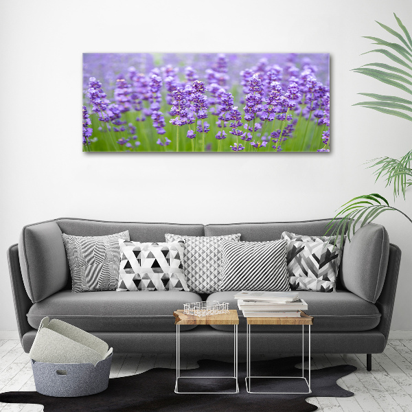 Foto auf Acryl Lavendel