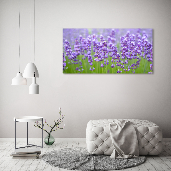 Foto auf Acryl Lavendel