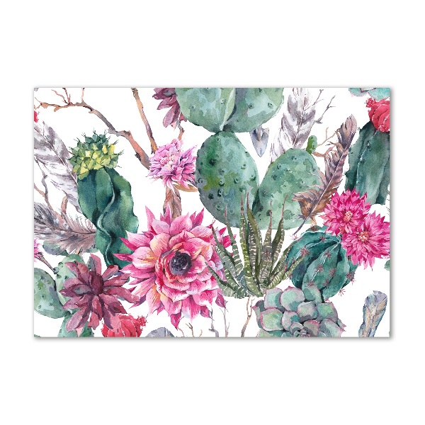 Acrylbild Fotodruck Kakteen
