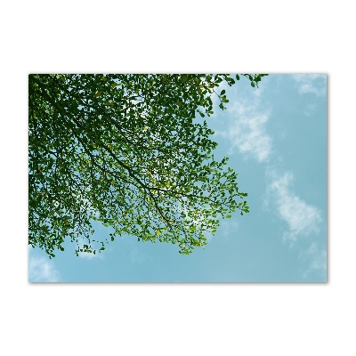 Foto auf Acryl Blätter am Himmel