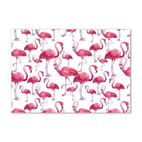 Foto auf Acryl Flamingos