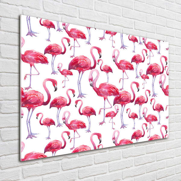 Foto auf Acryl Flamingos